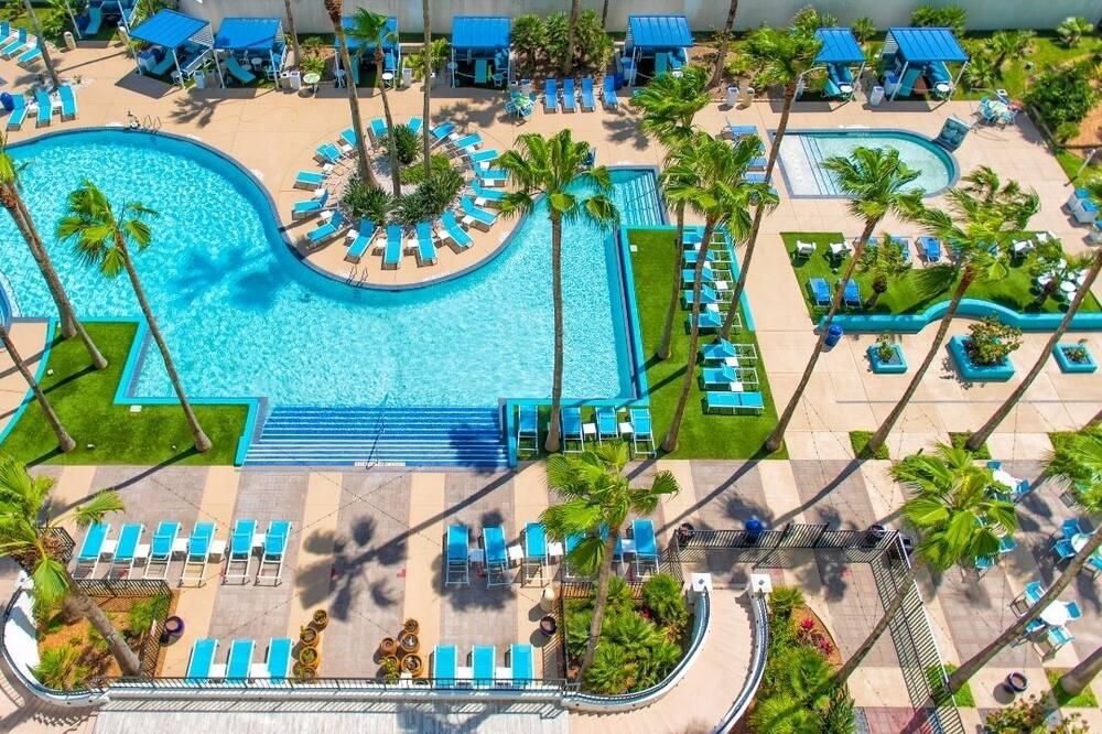 Pet-friendly Hotel In South Padre Island