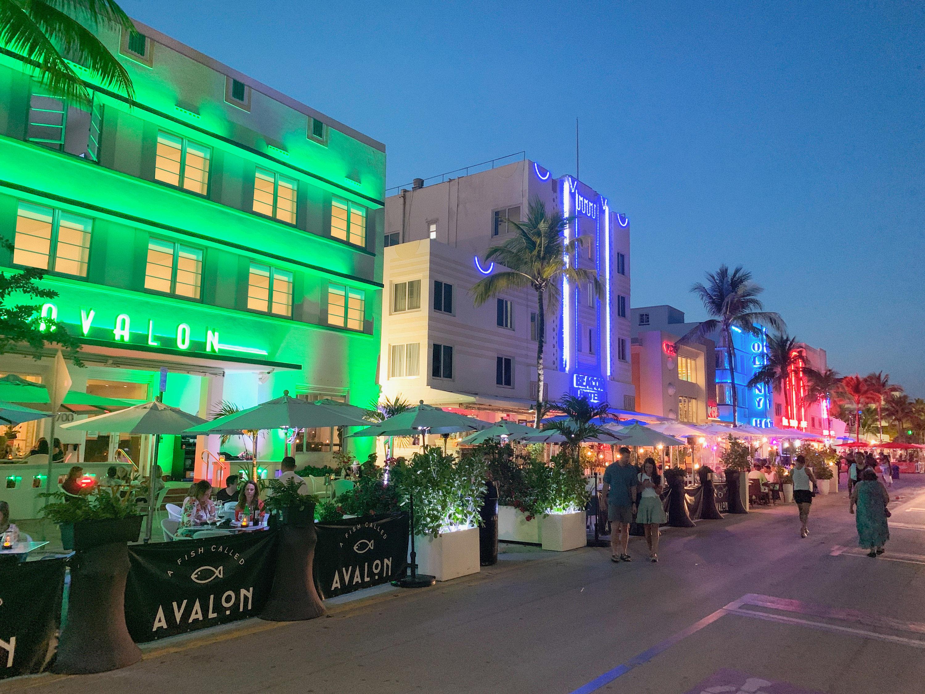 Avalon Hotel in Miami Beach, the United States from $135: Deals, Reviews,  Photos | momondo