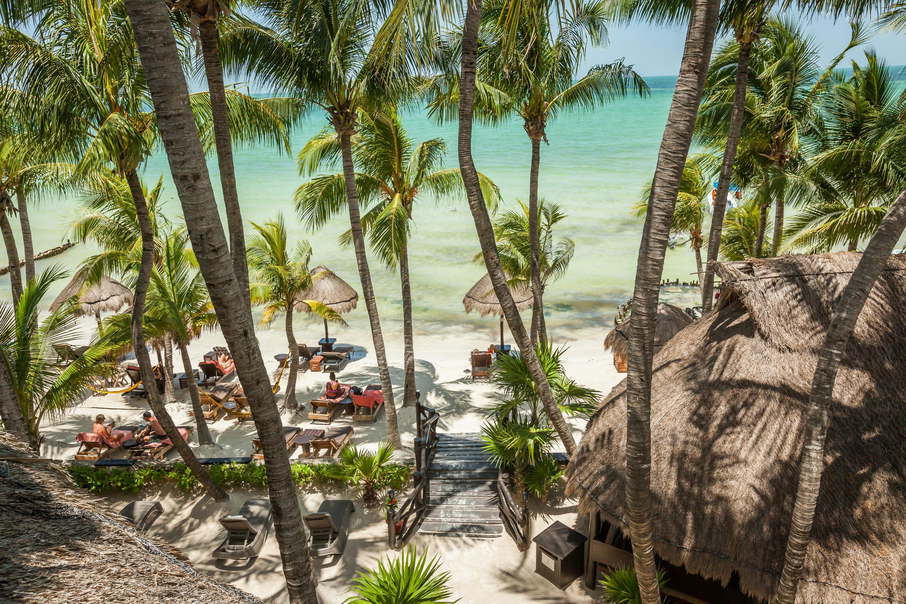 Beachfront Hotel La Palapa - Adults Only in Holbox, Mexico from $146:  Deals, Reviews, Photos | momondo