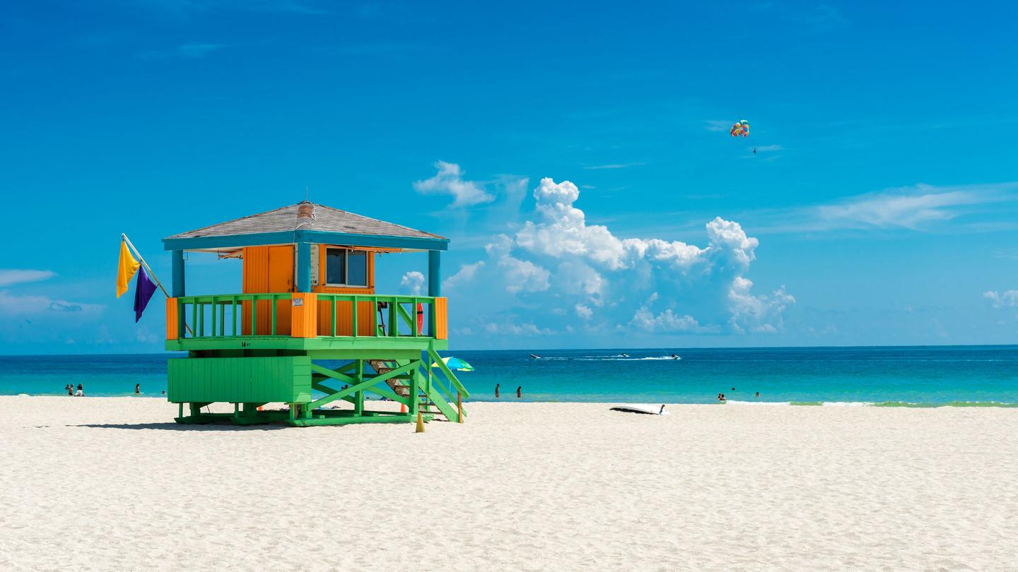 Cheap Flights to Florida from 24 in 2024 momondo
